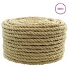 Corde de bateau 250 m 1.2 Naturel PP 631752631752