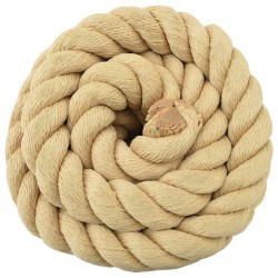 Corde de bateau 5 m 4 Naturel PP 631781631781
