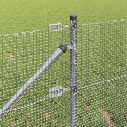 Clôture en fil soudé avec pointes 25 x 1 m Acier galvanisé 631882631882