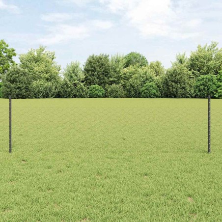 Clôture hexagonale avec poteau 100 x 0,5 m Gris Maille 631913631913