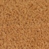 Tapis de porte naturel 50x80 cm fibre de coco touffeté 632020632020