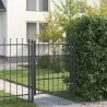 Porte de Clôture HORST 100 x 125 cm métal Noir Verrouillable 632050632050