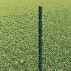 Clôture hexagonale avec poteau 50 x 0,6 m Vert Maille 632189632189