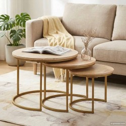 Tables basses gigognes 3 pcs Bois de mangue massif et acier 632562632562