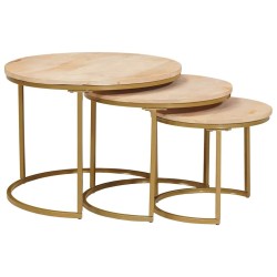 Tables basses gigognes 3 pcs Bois de mangue massif et acier 632562632562