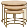 Tables basses gigognes 3 pcs Bois de mangue massif et acier 632562632562