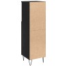 Cabinet de salle de bain avec porte Chêne noir 30 x 30 x 100 cm 632713632713