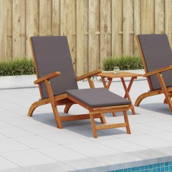 Chaise longue inclinable et pliable 2 pcs Gris foncé 632770632770