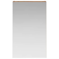 Armoire Miroir de Salle de Bain Bois ancien 30 x 10,5 x 50 cm 632836632836