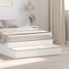 Tiroirs de lit Blanc 120 x 36,5 x 16,5 cm Bois d'ingénierie 632863632863