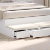 Tiroirs de lit Blanc 120 x 36,5 x 16,5 cm Bois d'ingénierie 632863632863