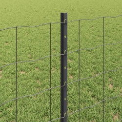 Clôture Euro avec poteau 25 x 0,8 m Acier recouvert de PVC Gris 632961632961