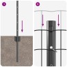 Clôture Euro avec poteau 25 x 0,8 m Acier recouvert de PVC Gris 632961632961