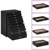 Coffret à bijoux 10 niveaux avec supports pour montres Noir 29 x 20,5 x 40,5 cm 633060633060