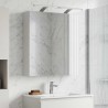 Armoire Miroir de Salle de Bain Blanc 60 x 14,5 x 70 cm 633129633129