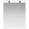 Armoire Miroir de Salle de Bain Blanc 60 x 14,5 x 70 cm 633129633129