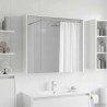 Armoire Miroir de Salle de Bain Blanc 73,5 x 16 x 62,5 cm 633130633130