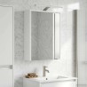 Armoire Miroir de Salle de Bain Blanc 43 x 16 x 62.5 cm 633137633137