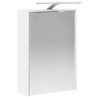 Armoire Miroir de Salle de Bain Blanc 43 x 16 x 62.5 cm 633137633137