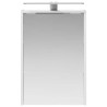 Armoire Miroir de Salle de Bain Blanc 43 x 16 x 62.5 cm 633137633137