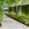 Bordure de Pelouse 20 pcs 102 x 4 x 4 cm Acier Rouillé 633273633273