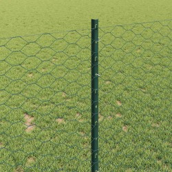Clôture hexagonale avec poteau 25 x 1 m Acier recouvert de PVC 633312633312