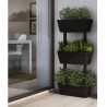 Jardinières 6 pcs 100 cm Anthracite 633446633446