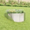 Bordure de Pelouse 100 x 45 cm Acier Argenté 633535633535
