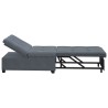 Canapé-Lit Gris foncé 194 x 67 x 82 cm Velours 633564633564