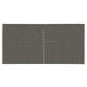 Mur de tente de fête 2 pcs Anthracite 400 x 195 cm PE et acier 633668633668