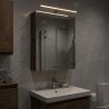 Armoire Miroir de Salle de Bain Bois ancien 50 x 14,5 x 70 cm 633684633684