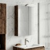 Armoire Miroir de Salle de Bain Bois ancien 50 x 14,5 x 70 cm 633684633684