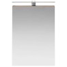 Armoire Miroir de Salle de Bain Bois ancien 50 x 14,5 x 70 cm 633684633684