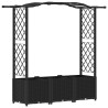 Lit Élevé avec Treillis et Toit Noir 164 x 40 x 138 cm PP 633913633913