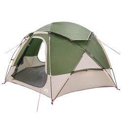 Tente en dôme avec housse imperméable amovible Vert 4 personnes 633918633918