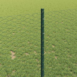 Clôture hexagonale avec poteau 25 x 1 m Acier recouvert de PVC 633993633993