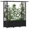 Lit Élevé avec Treillis et Toit Noir 162,5 x 40 x 136 cm PP 634022634022