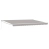 Auvent rétractable Gris clair 450 x 300 x 165 cm 634081634081