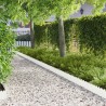 Bordure de Pelouse 20 pcs 103 x 20 cm Acier Blanc 634333634333
