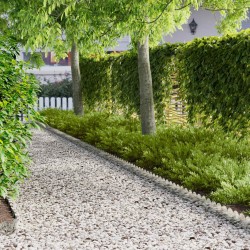 Bordure de Pelouse 20 pcs 103 x 15 cm Acier Argenté 634340634340