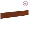 Bordure de Pelouse 30 pcs 100 x 18 cm Acier Rouillé 634396634396