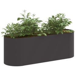 Jardin surélevé Noir 120 x 40 x 40 cm Acier 634455634455