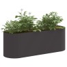 Jardin surélevé Noir 120 x 40 x 40 cm Acier 634455634455
