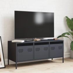 Meuble TV anthracite 101,5x39x43,5 cm acier laminé à froid 634568634568