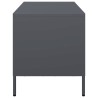 Meuble TV anthracite 101,5x39x43,5 cm acier laminé à froid 634568634568