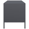 Meuble TV anthracite 101,5x39x43,5 cm acier laminé à froid 634705634705