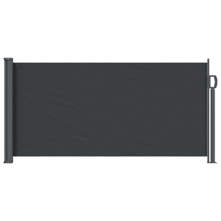 Store latéral rétractable Noir 300 x 100 cm Polyester 634816634816