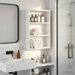 Armoire murale de salle de bain Blanc 40 x 10 x 60,5 cm 634838634838