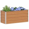Jardinière surélevée Marron Clair 100 x 40 x 45 cm 635780635780