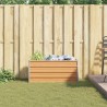 Jardinière surélevée Marron Clair 100 x 40 x 45 cm 635780635780